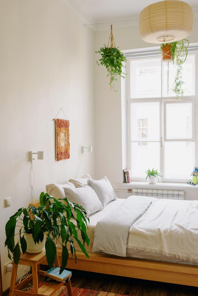sunny bohemian bedroom with plants